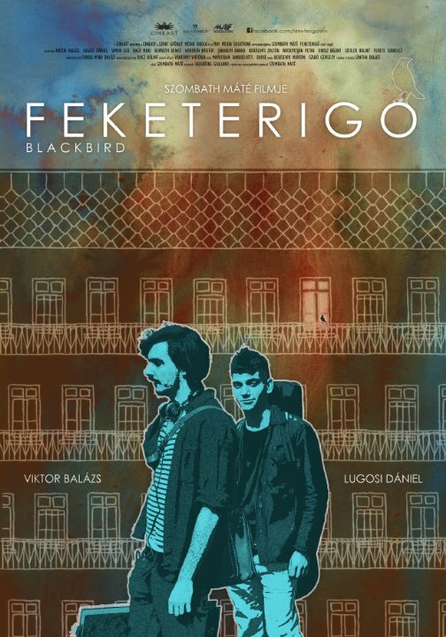 Feketerigó (2015)