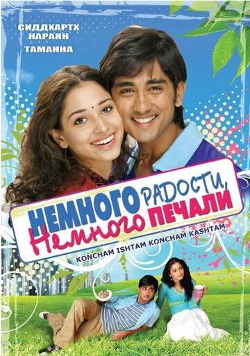 Немного радости, немного печали (2009)